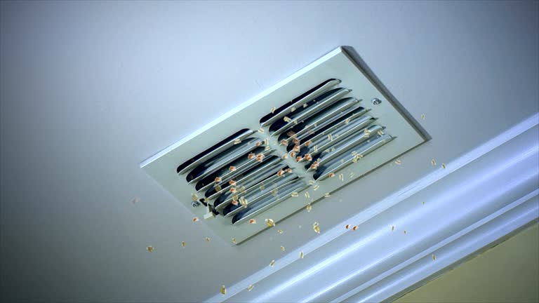 Best Duct Cleaning for Offices  in Clifton Gardens, NY