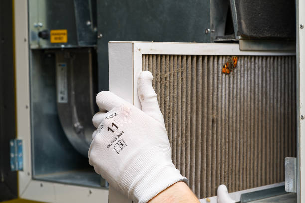 Best Affordable HVAC Duct Cleaning  in Clifton Gardens, NY