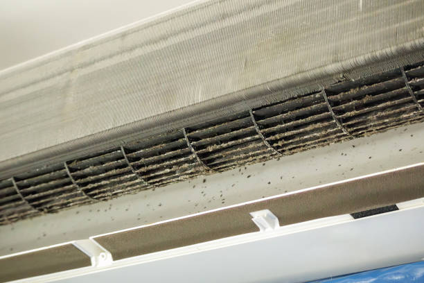 Best Affordable Air Duct Cleaning  in Clifton Gardens, NY